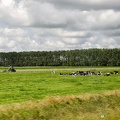 Dutch countryside